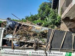 Professional Junk Removal  in Talahi Island, GA